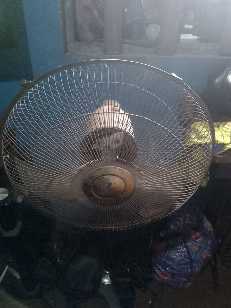 Scrap Electric Standing Fan